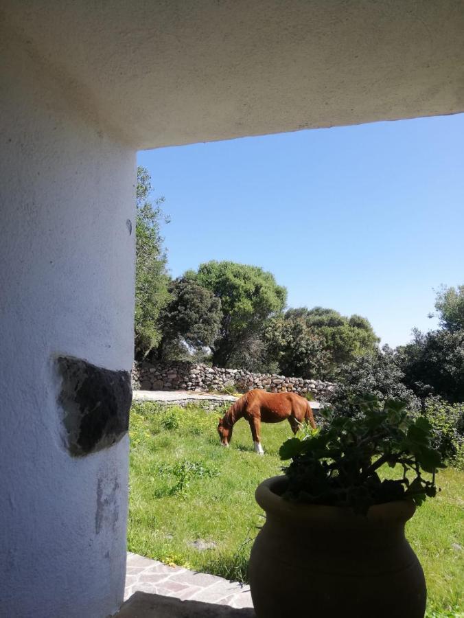 Sa Ruscitta Bed and Breakfast Sant'Antìoco Eksteriør billede